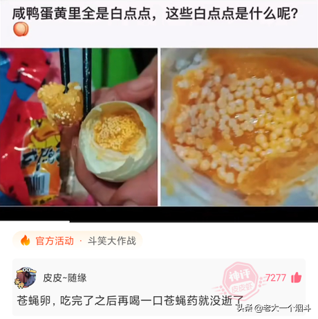 神回复：经常说东北菜量大，我没有去过，东北菜量到底有多大？