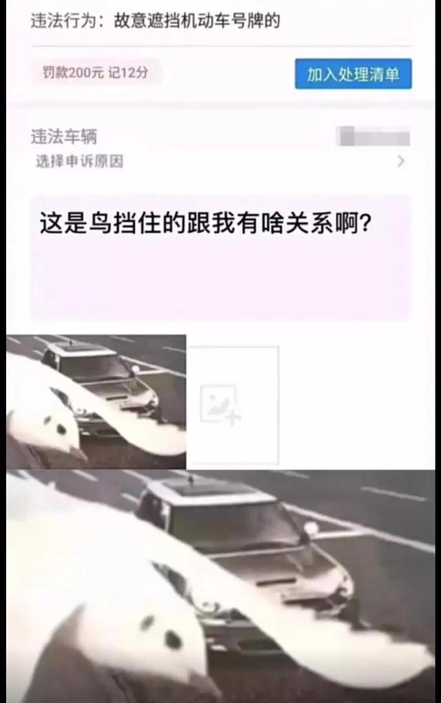 是男的都懂，内容过于真实