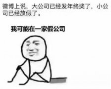 我可能在一家假公司！