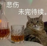 悲伤未完待续。