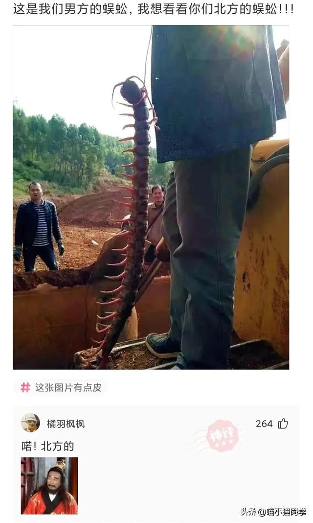 神回复:那开发新能源电脑的艰巨任务就交给我吧 神回复:那开发新能源电脑的艰巨任务就交给我吧