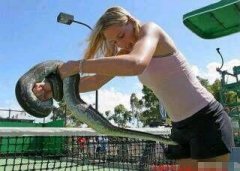 你这一口下去可不得了呀