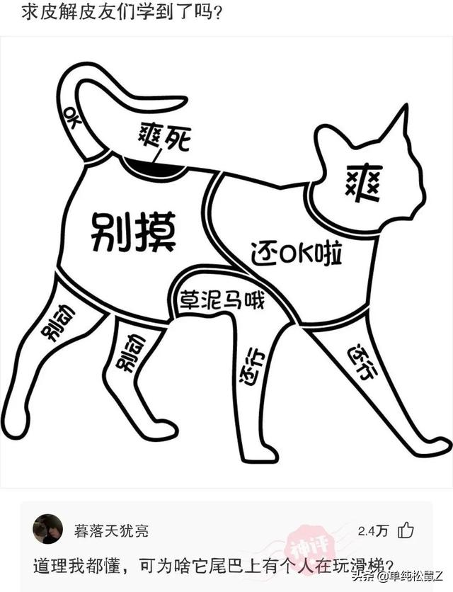 爆笑神回复:我勤勤恳恳当了二十年儿子,就为了这套房子…… 爆笑神回复:我勤勤恳恳当了二十年儿子,就为了这套房子……