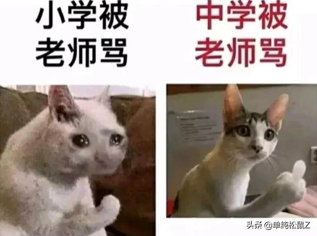 爆笑神回复:我勤勤恳恳当了二十年儿子,就为了这套房子…… 爆笑神回复:我勤勤恳恳当了二十年儿子,就为了这套房子……