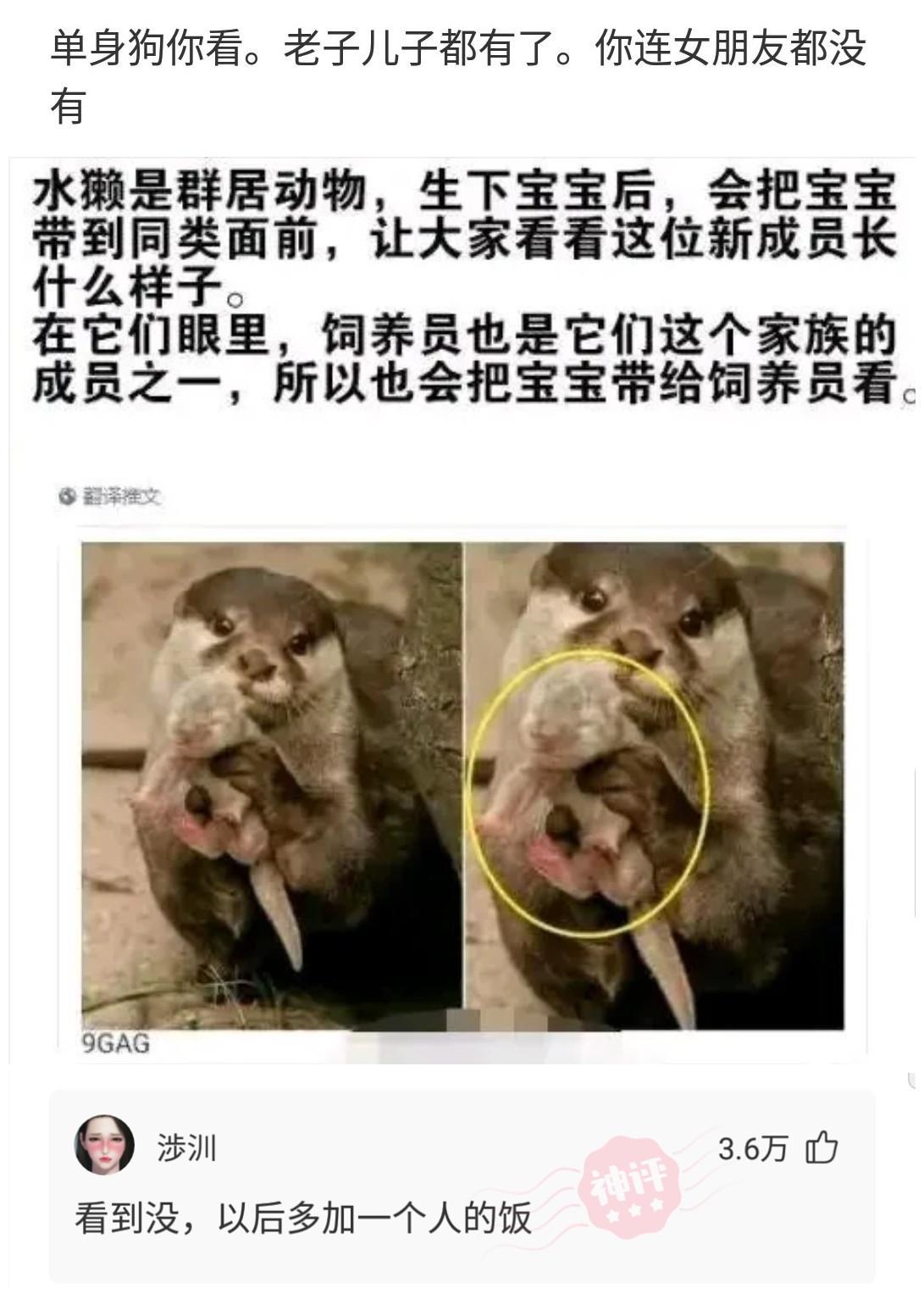 神回复:哄20岁女孩用钱,哄30岁女人用嘴,哄40岁富婆用什么? 神回复:哄20岁女孩用钱,哄30岁女人用嘴,哄40岁富婆用什么?