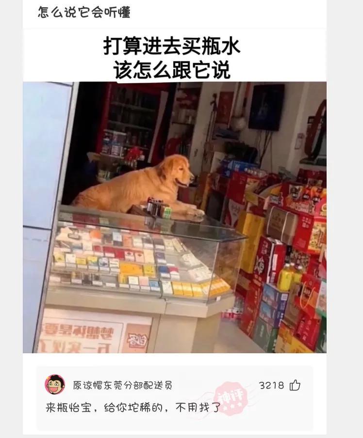 “请用一张图证明自己家里有矿!贫穷限制了我的想象力”哈哈哈 “请用一张图证明自己家里有矿!贫穷限制了我的想象力”哈哈哈