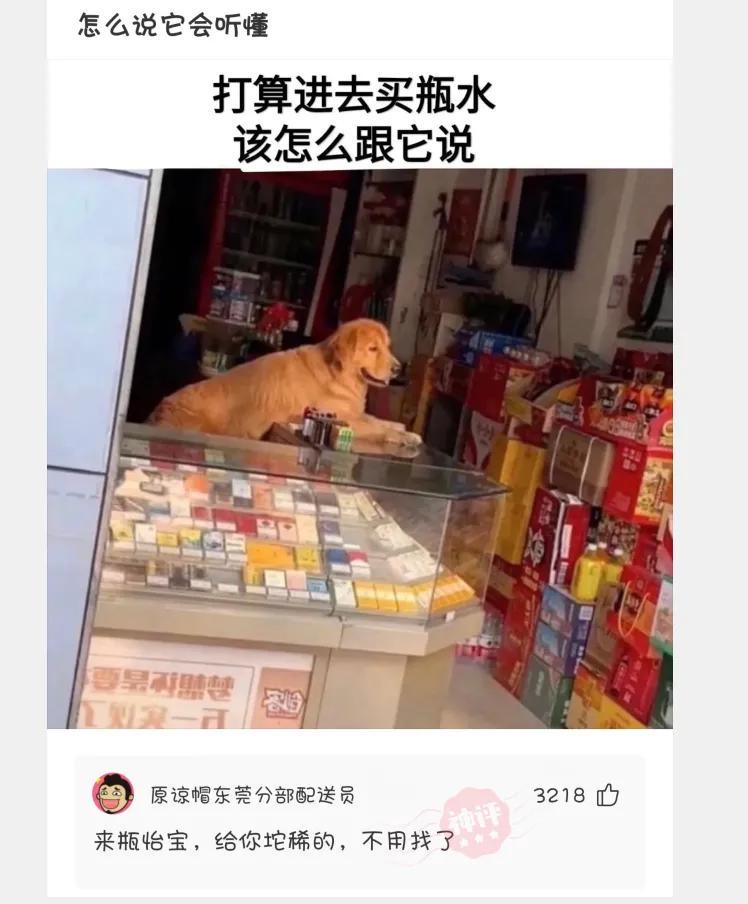 “请用一张图证明自己家里有矿！贫穷限制了我的想象力”哈哈哈