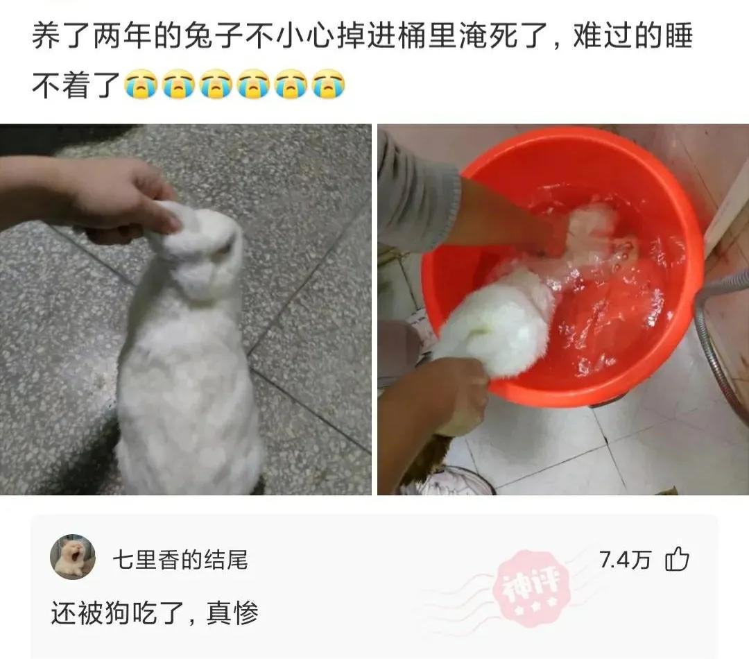 “请用一张图证明自己家里有矿!贫穷限制了我的想象力”哈哈哈 “请用一张图证明自己家里有矿!贫穷限制了我的想象力”哈哈哈