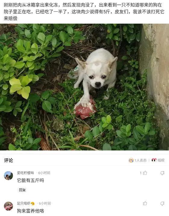 “请用一张图证明自己家里有矿!贫穷限制了我的想象力”哈哈哈 “请用一张图证明自己家里有矿!贫穷限制了我的想象力”哈哈哈
