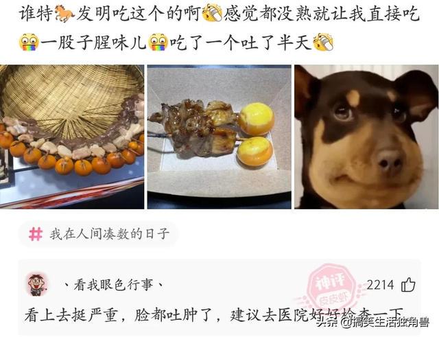 神回复:兄弟们,足球不太懂,中国输越南是什么概念? 神回复:兄弟们,足球不太懂,中国输越南是什么概念?
