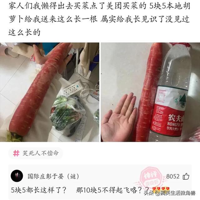 神回复:兄弟们,足球不太懂,中国输越南是什么概念? 神回复:兄弟们,足球不太懂,中国输越南是什么概念?