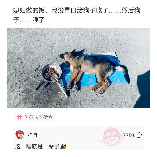 神回复:男生吃一次就会上瘾的东西有哪些? 神回复:男生吃一次就会上瘾的东西有哪些?
