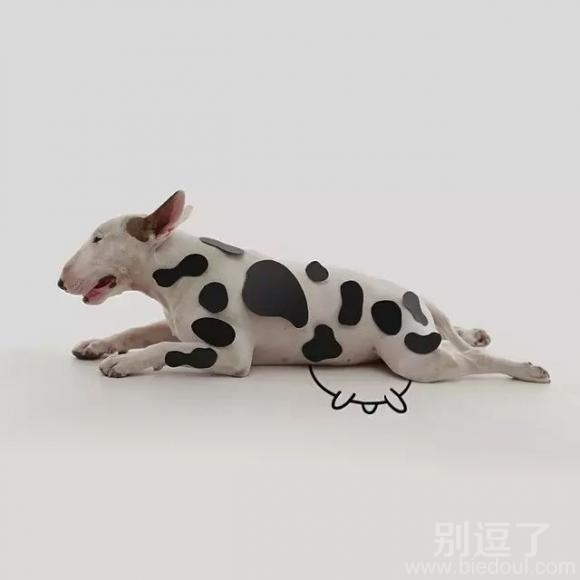 请叫我奶牛，谢谢