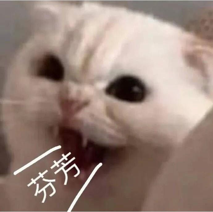 “我们来种草莓吧?”女友深夜回复… “我们来种草莓吧?”女友深夜回复…