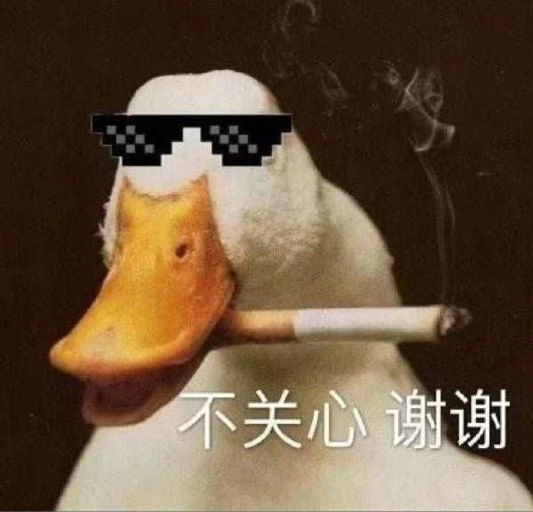 “我们来种草莓吧?”女友深夜回复… “我们来种草莓吧?”女友深夜回复…