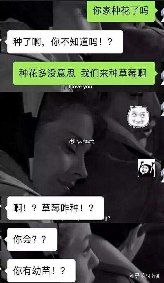 “我们来种草莓吧？”女友深夜回复…