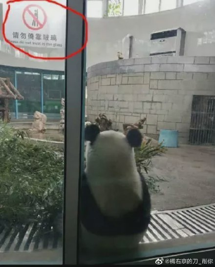 这都是什么神仙段子啊??看完笑到被抓去做了全家桶!! 这都是什么神仙段子啊??看完笑到被抓去做了全家桶!!