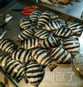 这发生了什么... 这发生了什么...