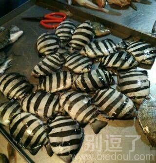 这发生了什么... 这发生了什么...