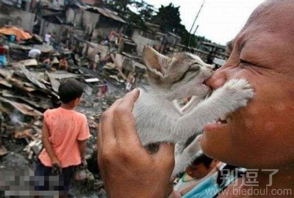 这只小猫不太乖! 这只小猫不太乖!