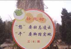 壮志难酬 壮志难酬