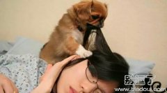 这样你还是不起床吗