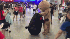 捕捉到两只熊基友