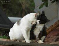 蹭蹭,摩擦生爱呢! 蹭蹭,摩擦生爱呢!