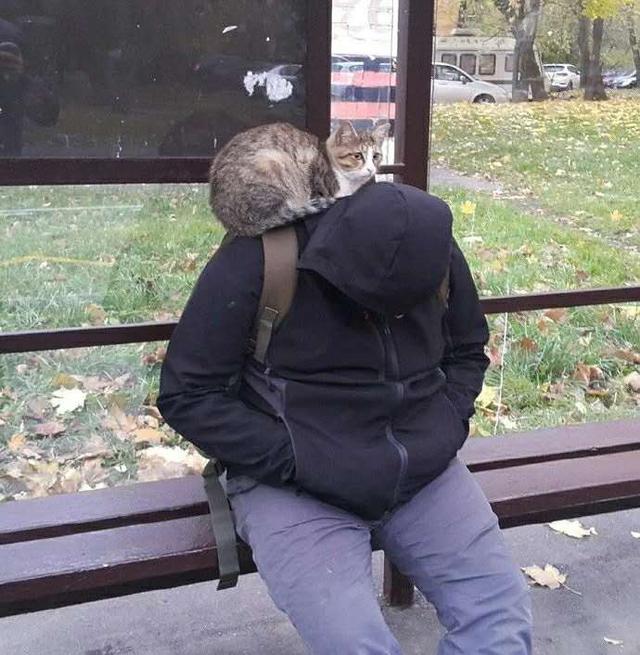 每日一笑:我好像猜到了这个人的身份,是爷爷 每日一笑:我好像猜到了这个人的身份,是爷爷