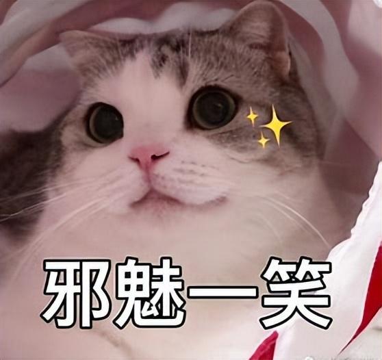 幽默段子 幽默段子