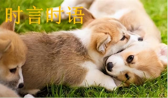 幽默段子 幽默段子
