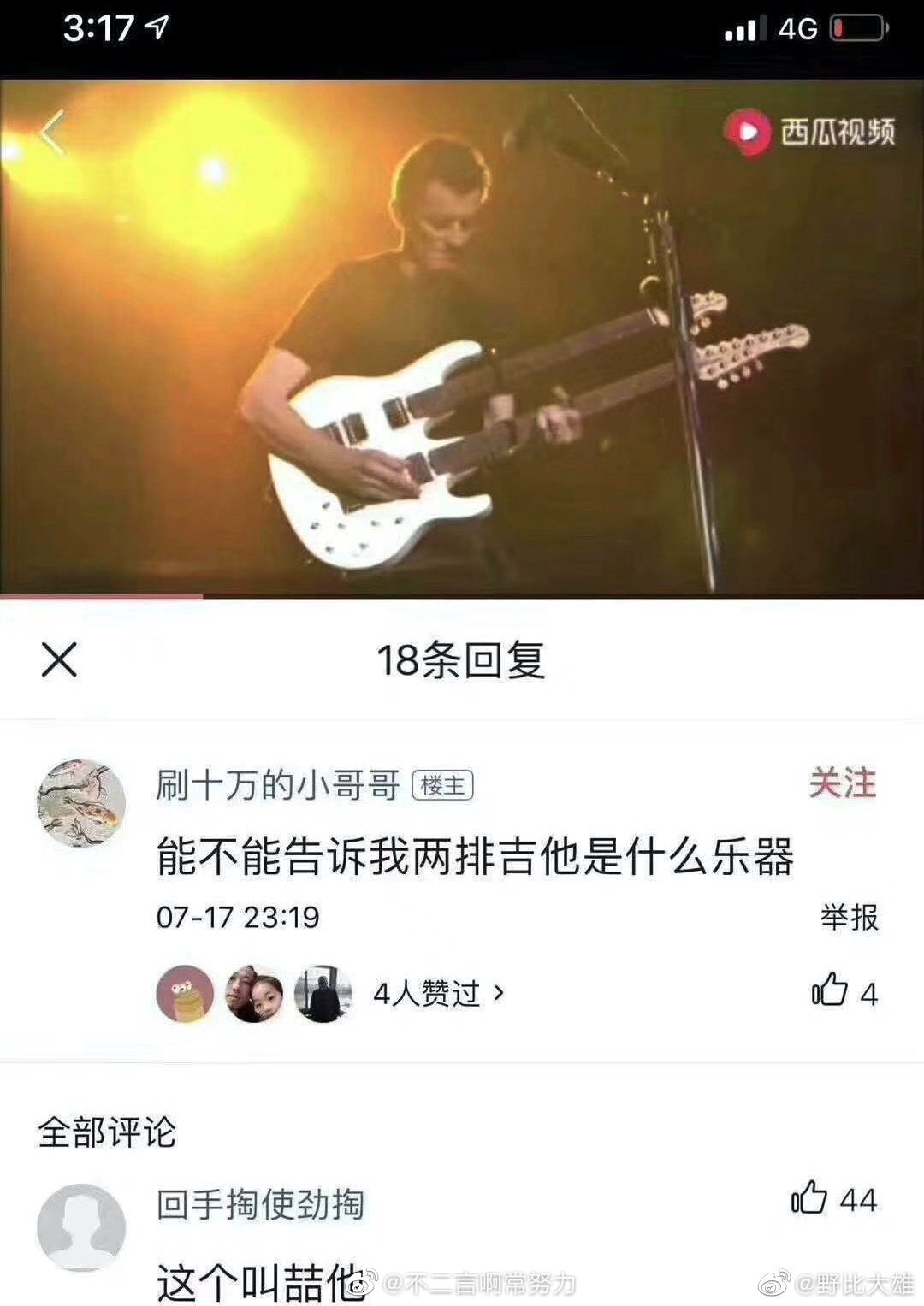 两排吉他是什么乐器？