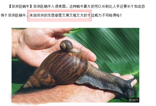开心一刻,疯狂的动物图片。