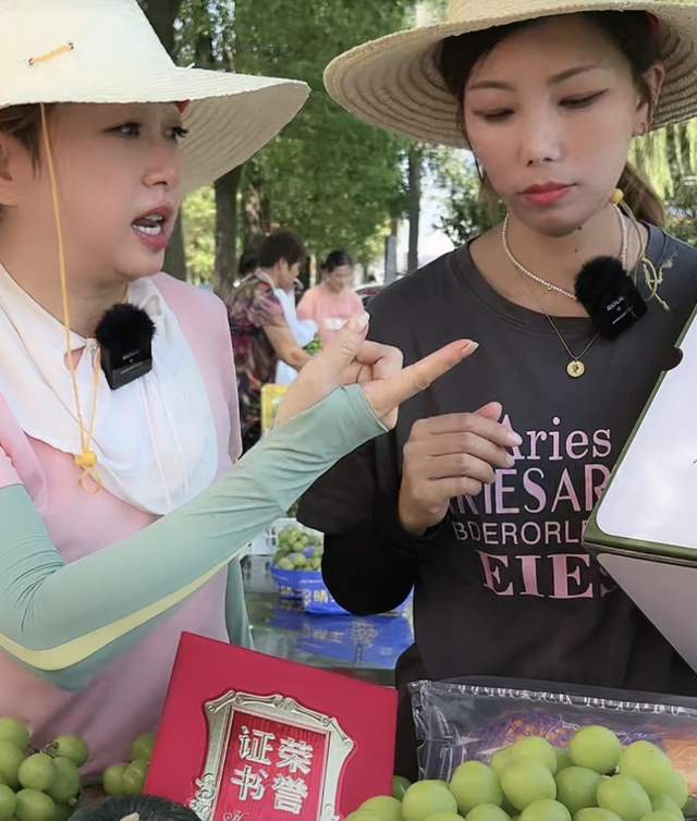 55岁港星湖南县城摆摊卖水果,40度戴草帽似村妇,卖力吆喝无人买 55岁港星湖南县城摆摊卖水果,40度戴草帽似村妇,卖力吆喝无人买