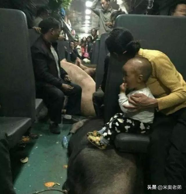 每日一笑:像这种丢人的事,如果不是亲眼所见,都不相信这是真的 每日一笑:像这种丢人的事,如果不是亲眼所见,都不相信这是真的
