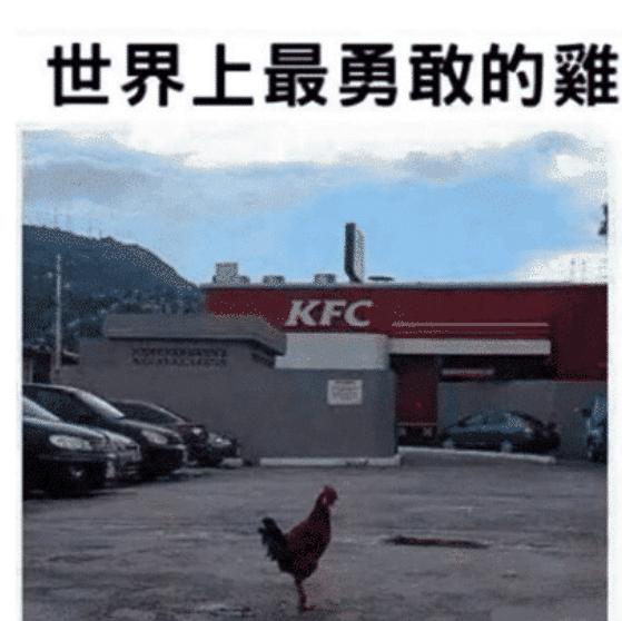 “有个好色女朋友是一种什么体验?”哇哈哈哈...这谁能招架住啊? “有个好色女朋友是一种什么体验?”哇哈哈哈...这谁能招架住啊?