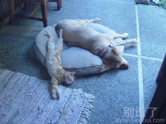 打一成语--东倒西歪