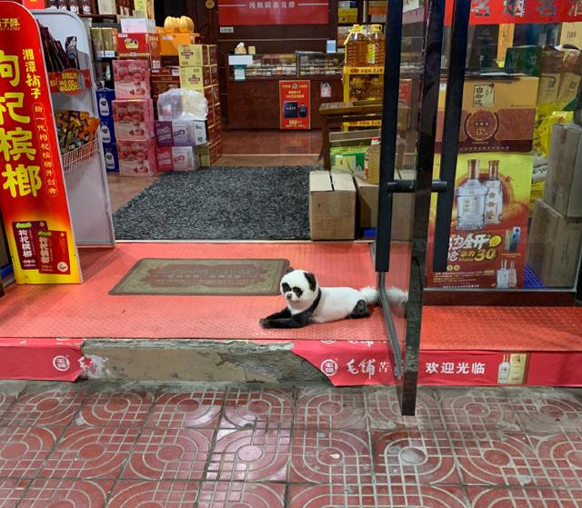 “看了30年新闻联播，才知道主持人后面放那么多电视的原因！”