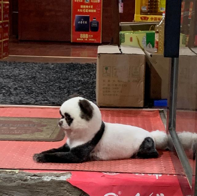 “看了30年新闻联播，才知道主持人后面放那么多电视的原因！”