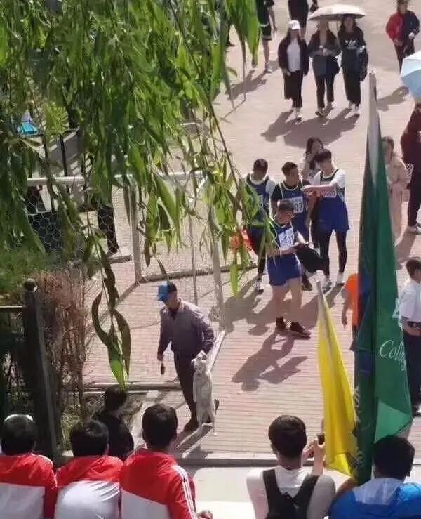 “看了30年新闻联播，才知道主持人后面放那么多电视的原因！”