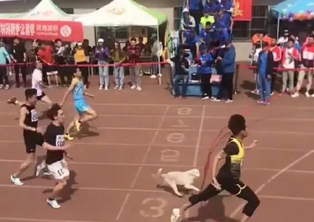 “看了30年新闻联播，才知道主持人后面放那么多电视的原因！”