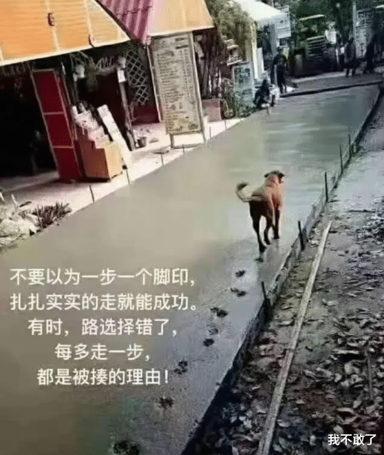 “女同学给我留的纸条,她是什么意思?”哈哈哈吃了文化的亏 “女同学给我留的纸条,她是什么意思?”哈哈哈吃了文化的亏