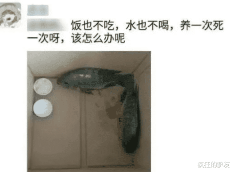 “约网恋女友出来吃饭,刚见面就看到妹子这个背”哈哈哈哈哈,是我想多了吗? “约网恋女友出来吃饭,刚见面就看到妹子这个背”哈哈哈哈哈,是我想多了吗?