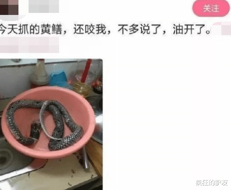 “约网恋女友出来吃饭,刚见面就看到妹子这个背”哈哈哈哈哈,是我想多了吗? “约网恋女友出来吃饭,刚见面就看到妹子这个背”哈哈哈哈哈,是我想多了吗?
