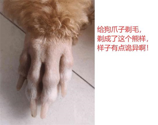 “为什么女生可以这样蹲,男的却不行?”哈哈哈哈哈天生的被动技能 “为什么女生可以这样蹲,男的却不行?”哈哈哈哈哈天生的被动技能