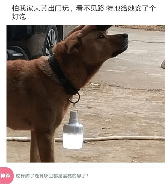 “为什么女生可以这样蹲,男的却不行?”哈哈哈哈哈天生的被动技能 “为什么女生可以这样蹲,男的却不行?”哈哈哈哈哈天生的被动技能