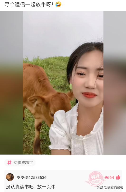 不懂就问:“为什么平衡木没有男子组?”神评论绝了,哈哈哈 不懂就问:“为什么平衡木没有男子组?”神评论绝了,哈哈哈