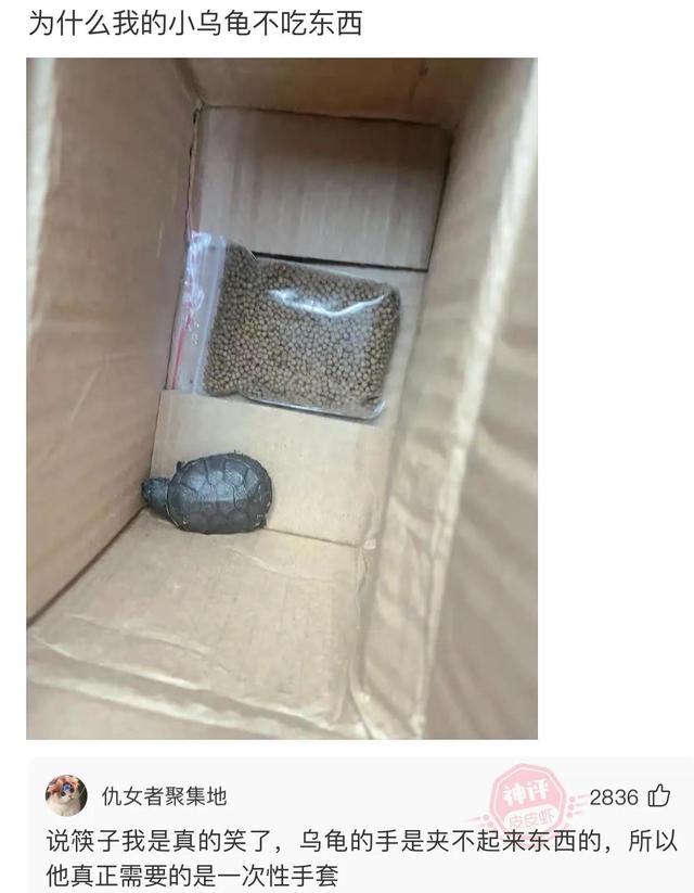 爆笑段子神回复(128):如果学会人工降雨,穿越到古代会怎么样 爆笑段子神回复(128):如果学会人工降雨,穿越到古代会怎么样