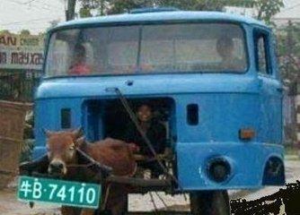 就是这么霸气 就是这么霸气