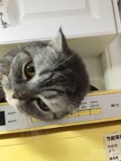 就是看你呢,你瞅啥 就是看你呢,你瞅啥